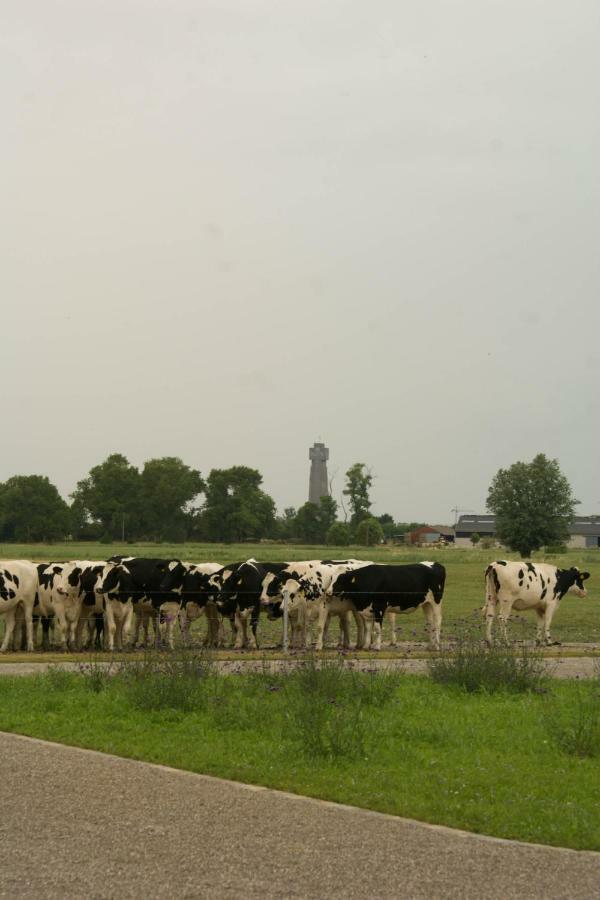 Vila De Goudmijn Diksmuide Exteriér fotografie